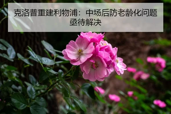 ke-luo-pu-chong-jian-li-wu-pu-zhong-chang-hou-fang-lao-ling-hua-wen-ti-ji-dai-jie-jue-3-138.jpg