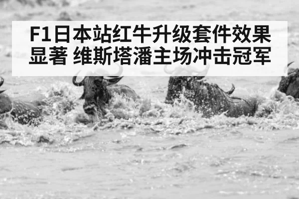 F1日本站红牛升级套件效果显著 维斯塔潘主场冲击冠军